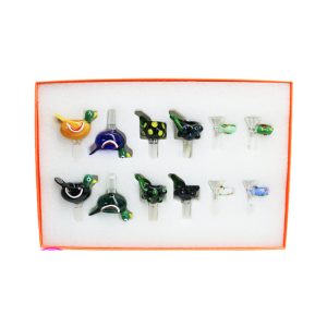 Apex Animal Bowl Display 12ct - Design B