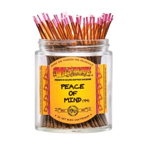Wild Berry Incense Sticks Shorties 100Ct