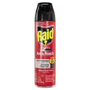 Raid Ant & Roach Killer 17.5oz