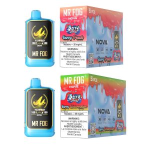 Mr Fog Nova Berry Steezy 36k Puff Disposable 5ct