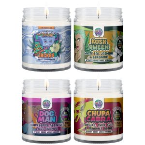 The Modest Co Odor Eliminator Candle