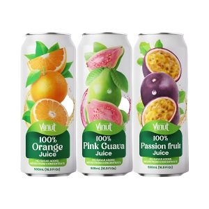 Vinut Juice 16.9oz 24ct