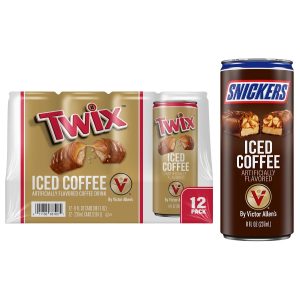 Victor Allen's Iced Coffee 8oz 12ct