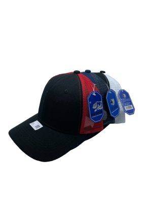 Pbo1 CaP