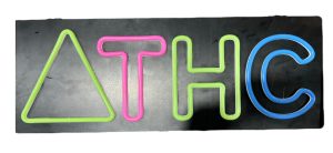 Business Image Led Neon Sign - THC