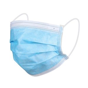 Earloop Disposable Mask 5ct