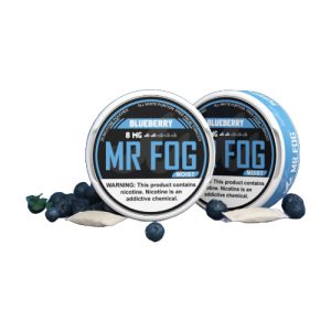 Mr Fog BE Moist 8mg Nicotine Pouches 20pk 5ct