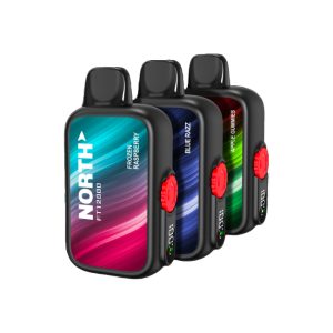 North FT12000 Puffs Disposables