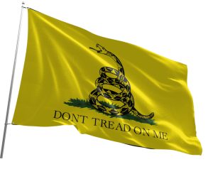 3'x5' Fun Flags Large - Don't Tread On Me