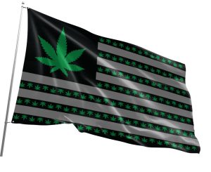 3'x5' Blazing Buddies Fun Flag Large - Marijuana Leaf