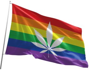 3'x5' Blazing Buddies Fun Flag Large - Rainbow w/ Marijuana Leaf