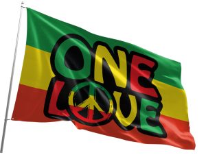 3'x5' Blazing Buddies Fun Flag Large - One Love